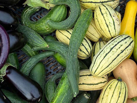 CSA...what is it?