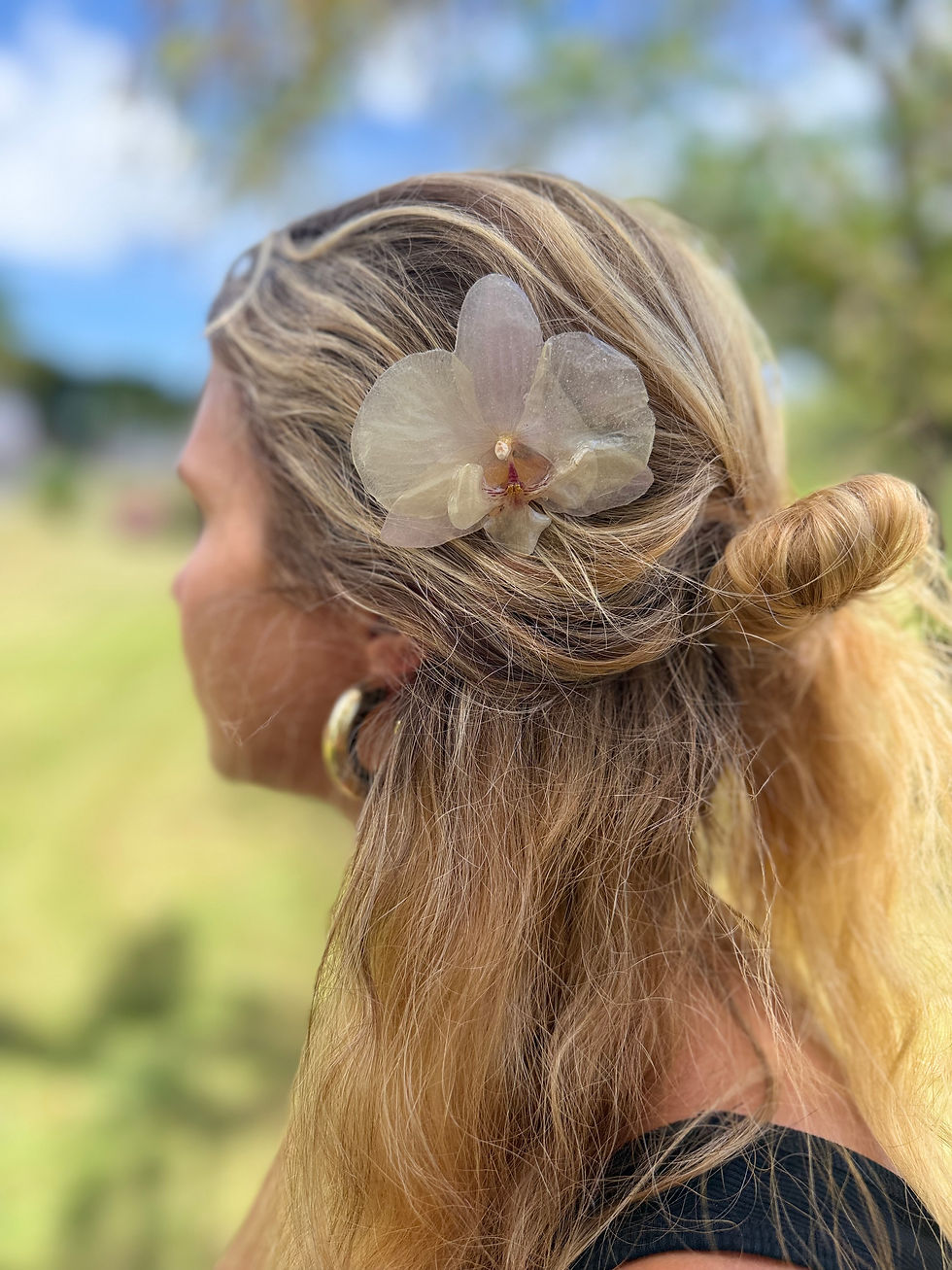 Miniature : Peigne à cheveux 