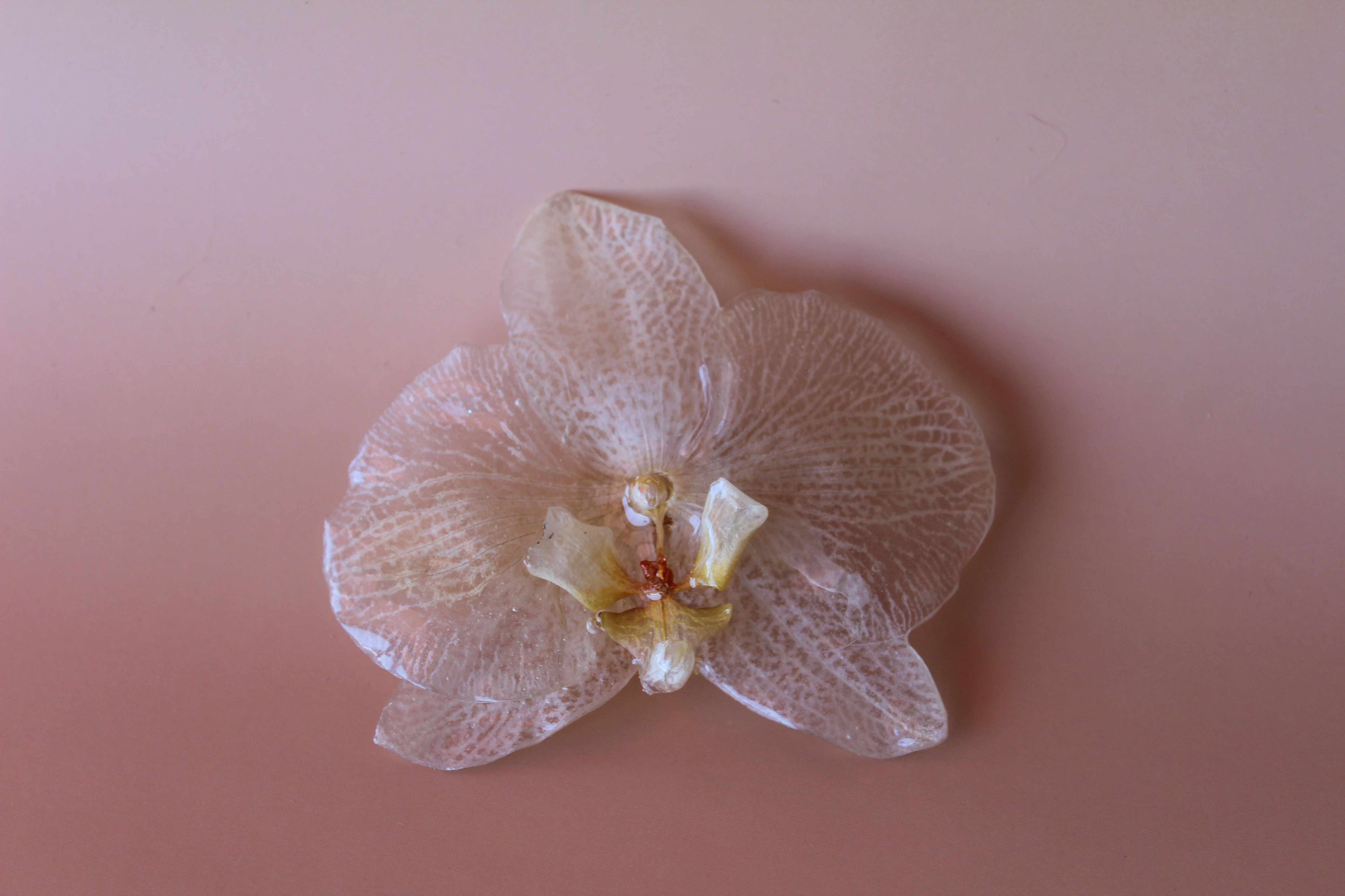 Broche 
