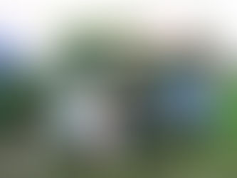 秋雨もようの土曜、ブロッコリー苗の定植など