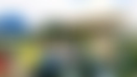 初夏陽気の月曜、いつもの収穫など