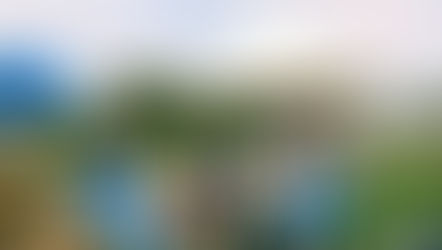 収穫日和の金曜、マルシェ出店用野菜の収穫