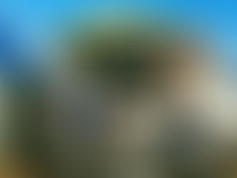 冬晴れの木曜、エンドウ苗の植付など