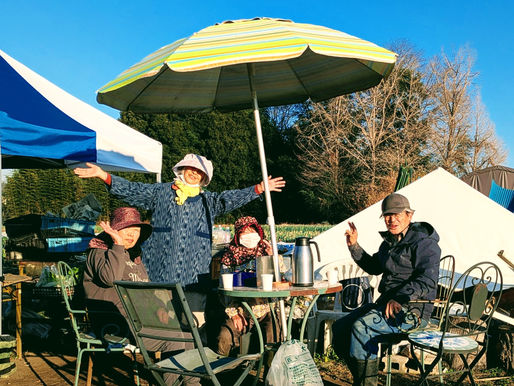 冬晴れの木曜、エンドウ苗の植付など