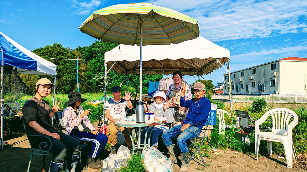夏めいて来た土曜、トマトの仕立など