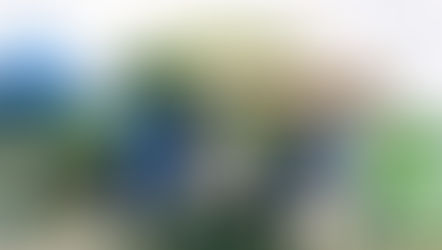 秋雨の木曜日、いつもの収穫など