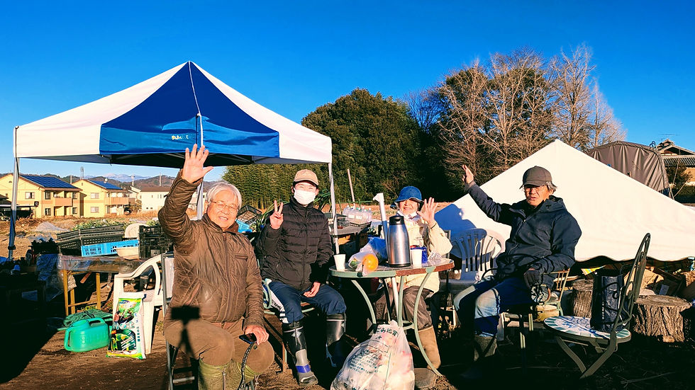 成人の日、スティック播種など