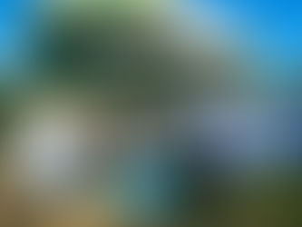 秋晴れの木曜、いつもの収穫など