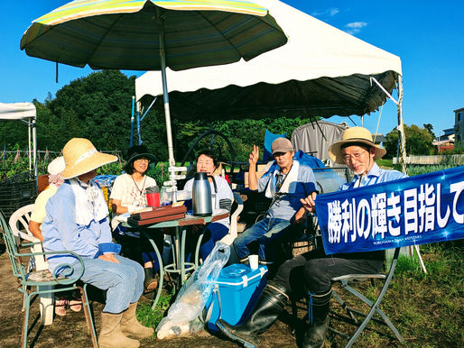 秋晴れの木曜、いつもの収穫など
