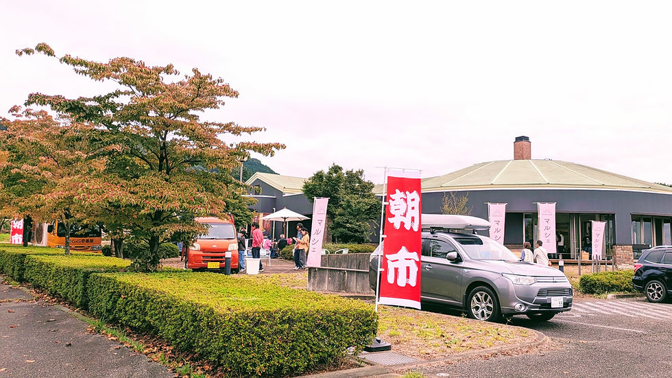 花水木が色づく日曜、朝市/マルシェ出店