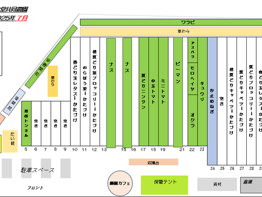子ども農園、7月の主な作業プラン