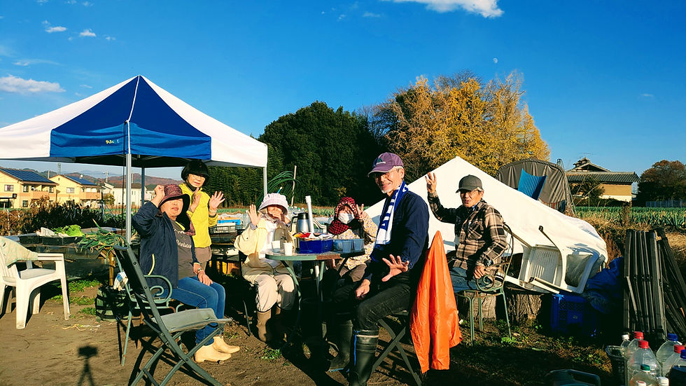 小春日和の月曜、いつもの収穫など