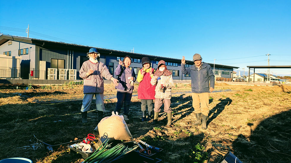 冬至間近の木曜、里芋/長ネギ収穫など