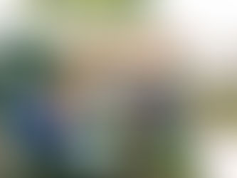 春雨の木曜、夏野菜苗作り