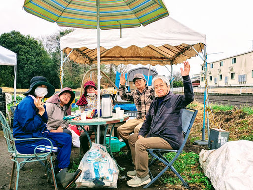 春雨の木曜、夏野菜苗作り