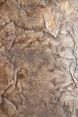 Texture Skin