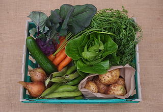 Small vegetable box containing colourful produce