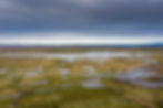Nouvialle_210213_30-2.jpg