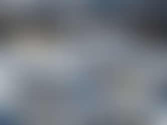 Que font les abeilles en hiver ?