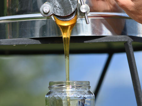 Récolte 2024 en chiffres