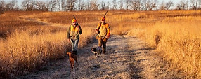 two quail hunters with dogs.jpg