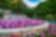 3831-turtle-creek-blvd-apt-14f-dallas-tx-75219-High-Res-4.jpg