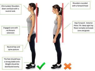 🧍♀️ Posture and Hair Growth: The Surprising Connection Between Alignment and Your Scalp’s Circulation