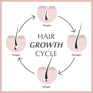 🌿 Juanderful Hair Truth: The Dynamic World of Hair