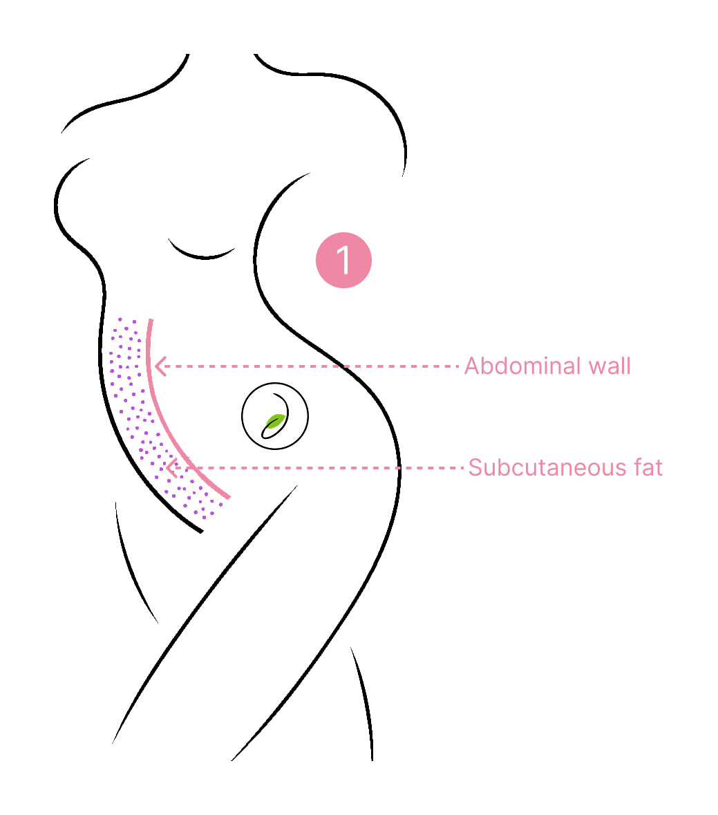 body fat.png