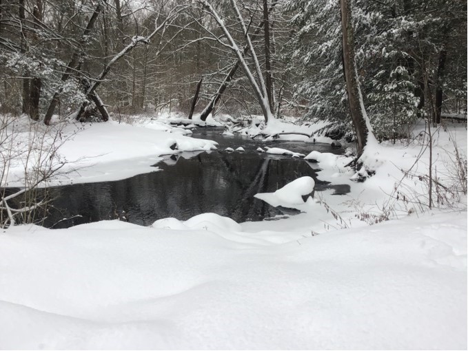 Mountain Creek Trout Club