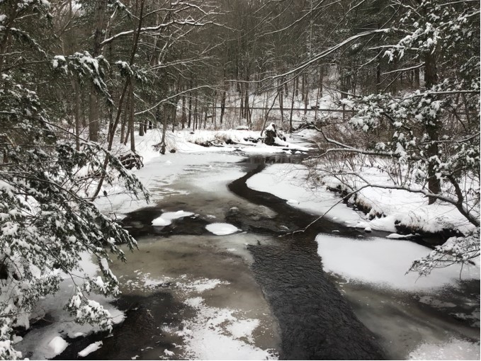 Mountain Creek Trout Club