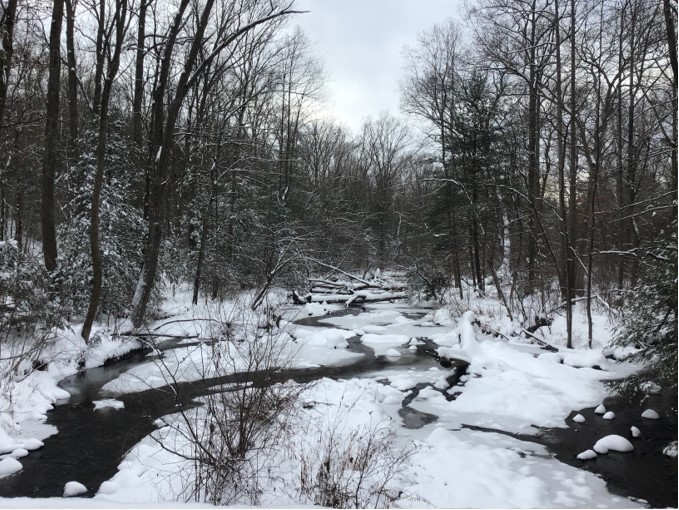 Mountain Creek Trout Club