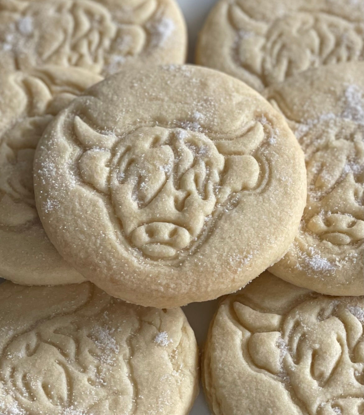 Highland Cow Shortbread