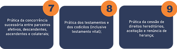 MODULOS DIR EM PRATICA PARA SITE03.png