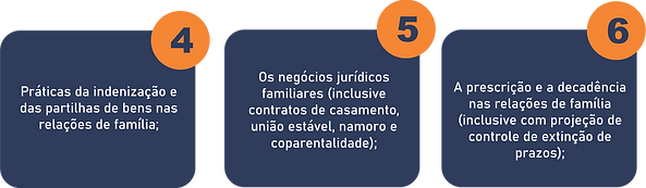 MODULOS DIR EM PRATICA PARA SITE02.png