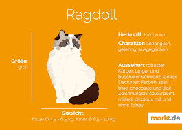 Reinrassigkeit/Typisierung