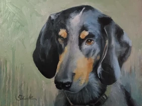 Hound dog portrait