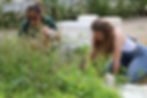 Two people working in a garden