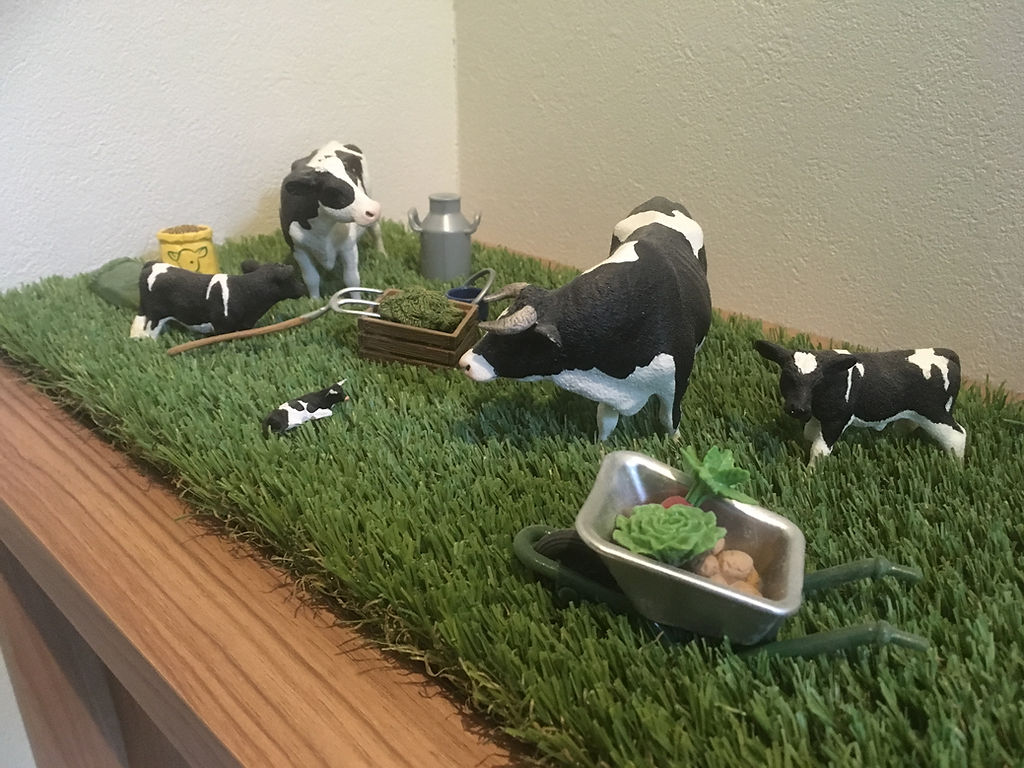 北海道・帯広・リゾッテリア コバトヤ