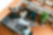 5T4A6118.jpg
