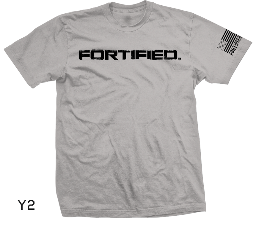 Thumbnail: Fortified Period