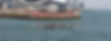 MVIMG_20190615_113052_edited.jpg