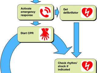 CPR - Responsive or Unresponsive?