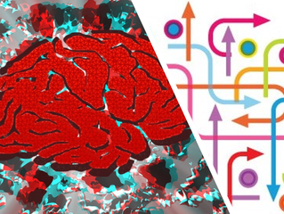 The TeamSafe​® Report #24: Concussions: We Are Still Not Getting It