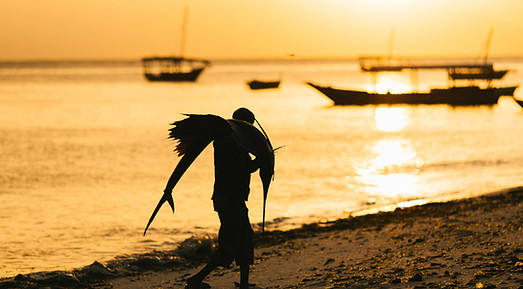 Fisherman and his catch