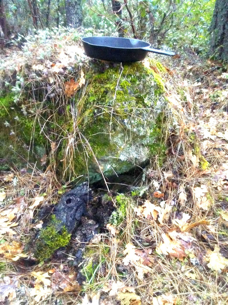 The Rogue River Wars of 18551856