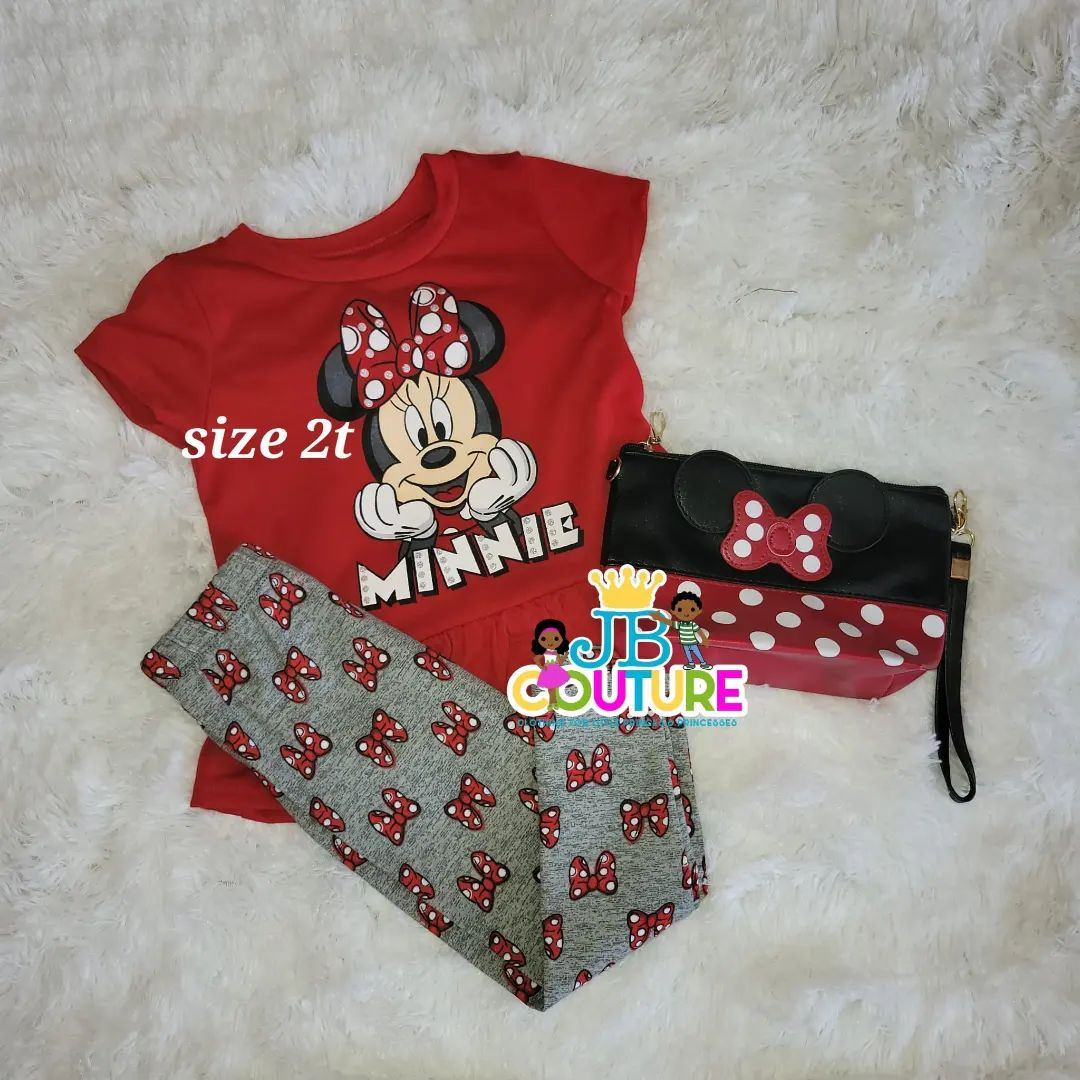 little girl outfit  ( size 2t ) 