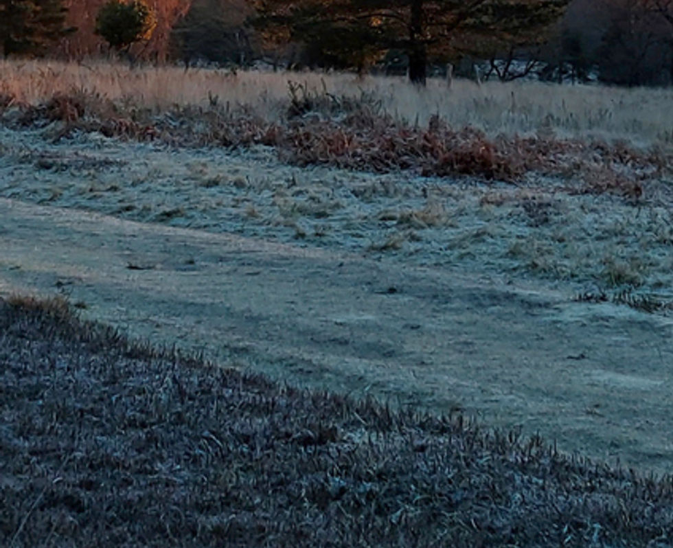 20230311a52-30.jpg
