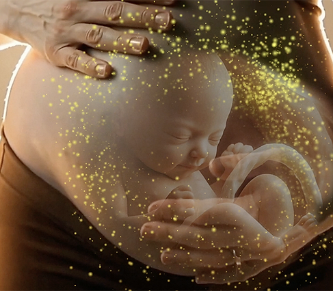 Pertussis_Screenshot_Immunisation.png