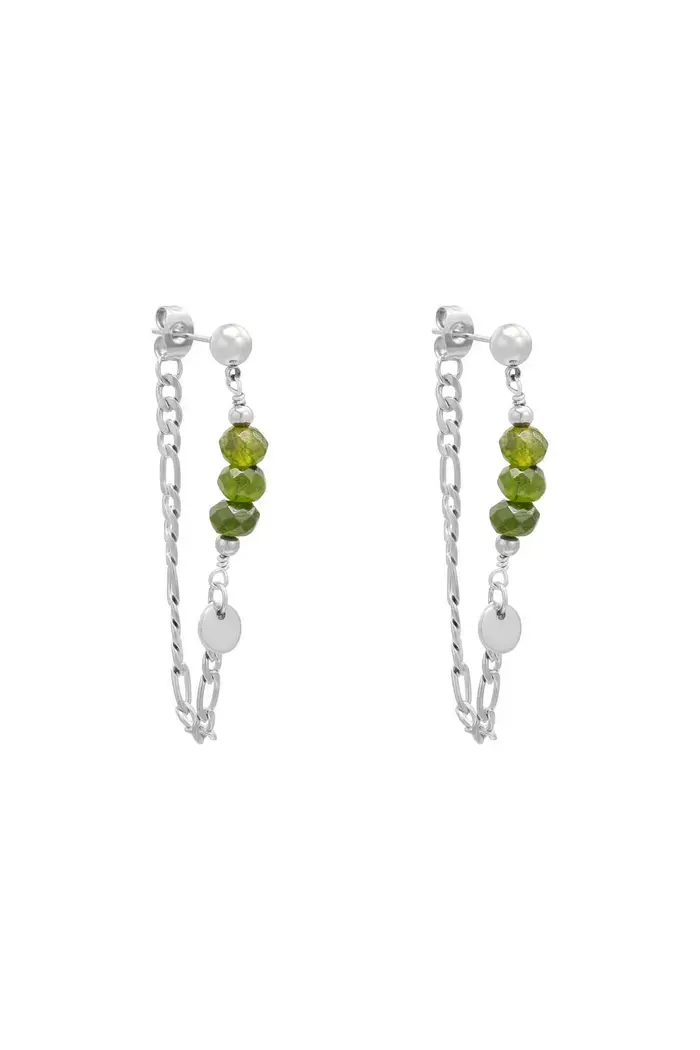 Oorbellen chained